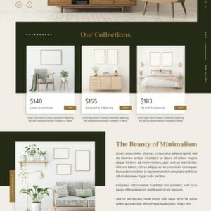 eCommerce Pro Website